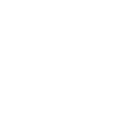 Novela logo